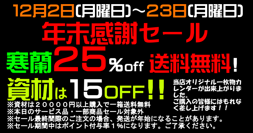 寒蘭専門店 東洋蘭センター / TOPページ