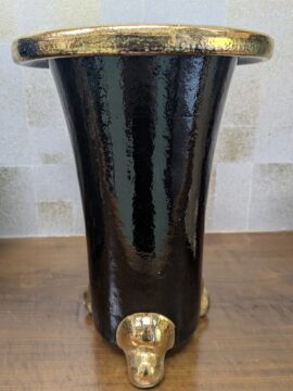 ドラゴン模様の蘭鉢 ドラセナ・コンシンネ・レインボー 縦横柄陶器鉢付き